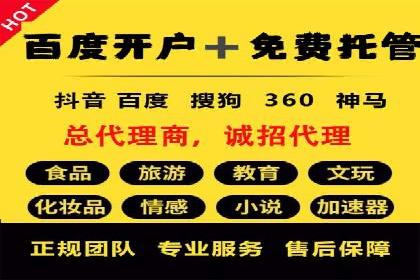 搜索引擎营销（SEM）专员的挑战与机遇